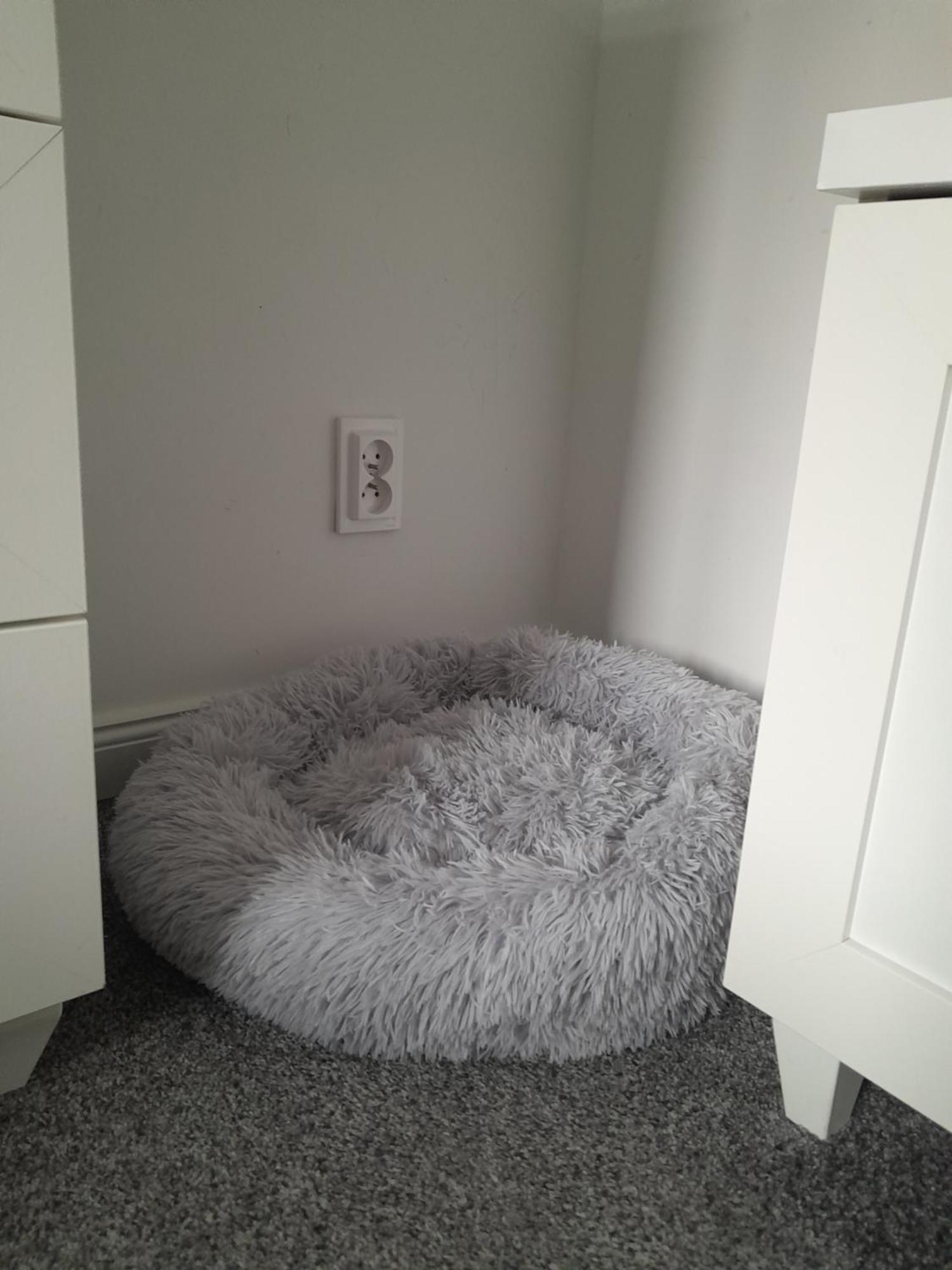 Apartament "Konie I Anioly" Boguszów-Gorce Kültér fotó